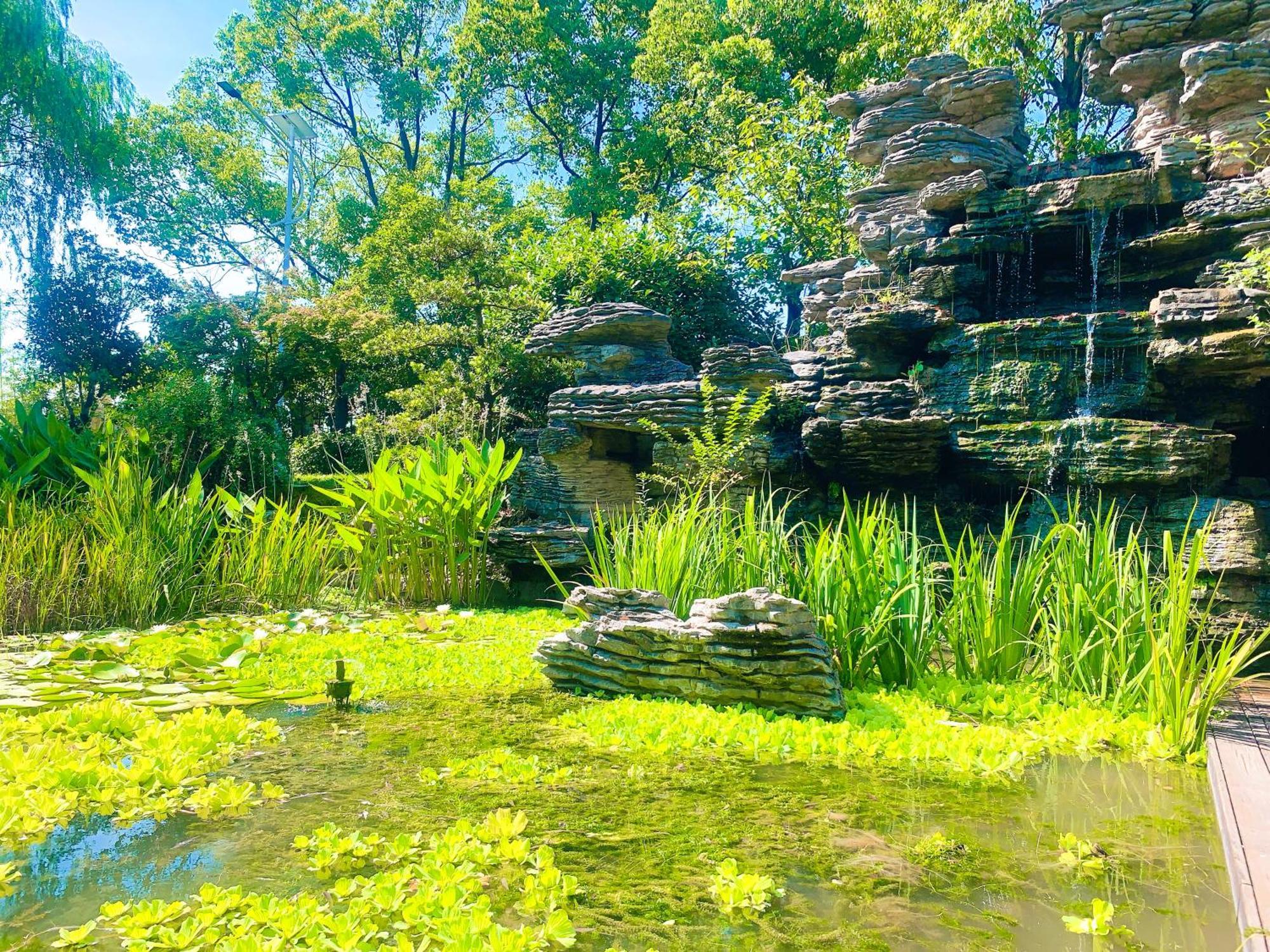 Shushe Hotel 上海 外观 照片