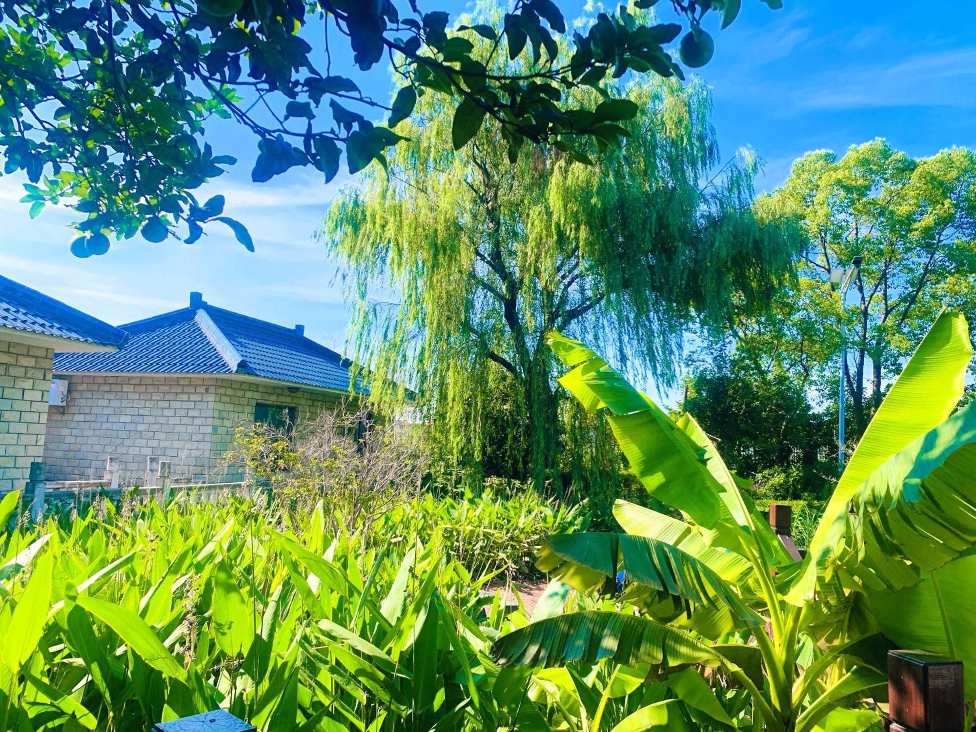 Shushe Hotel 上海 外观 照片
