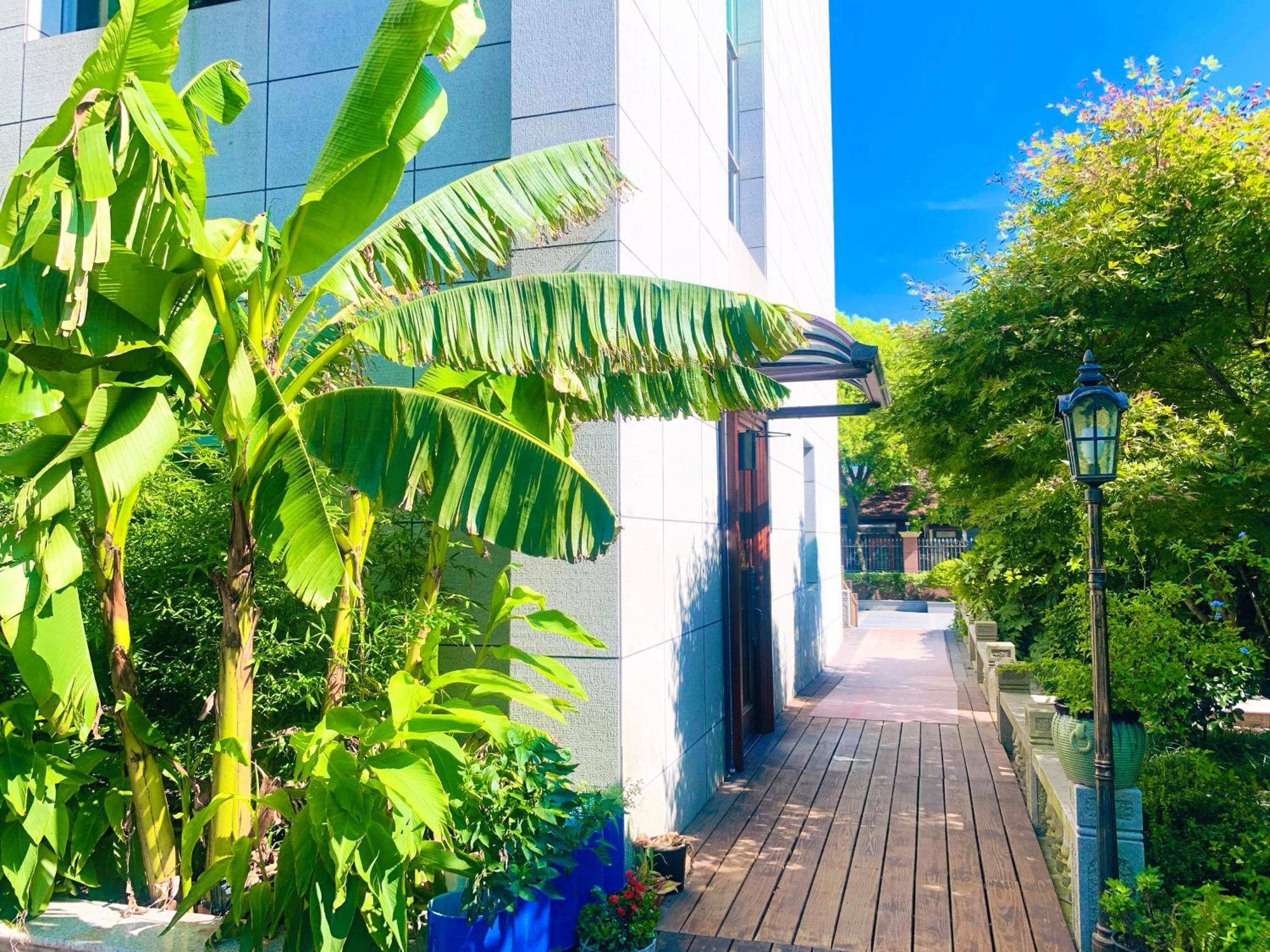 Shushe Hotel 上海 外观 照片